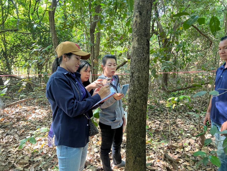 เทศบาลตำบลพังโคนศรีจำปา ลงสำรวจทรัพยากรบริเวณป่าปกปักข้างโรงเรียนบ้านสร้างขุ่ย หมู่ 6 ต.พังโคน อ.พังโคน จ.สกลนคร ภายใต้โครงการอนุรักษ์พันธุกรรมพืชอันเนื่องมาจากพระราชดำริ สมเด็จพระกนิษฐาธิราชเจ้ากรมสมเด็จพระเทพรัตนราชสุดาฯ สยามบรมราชกุมารี